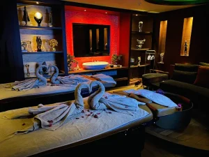 Shiva Spa Wellness Kartal