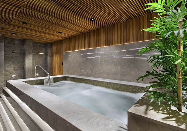 DoubleTree By Hilton Piyalepaşa Elysium Spa