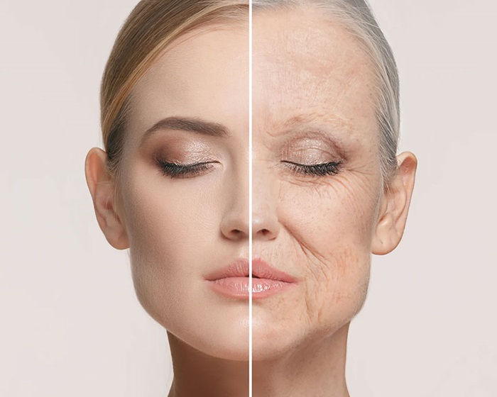 Anti-Aging