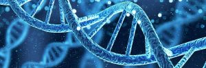 DNA Analizi