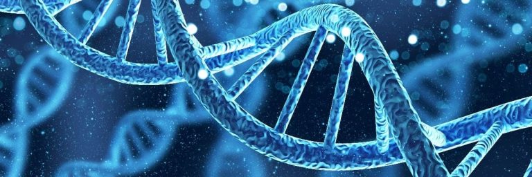 DNA Analizi
