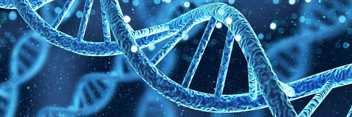 DNA Analizi
