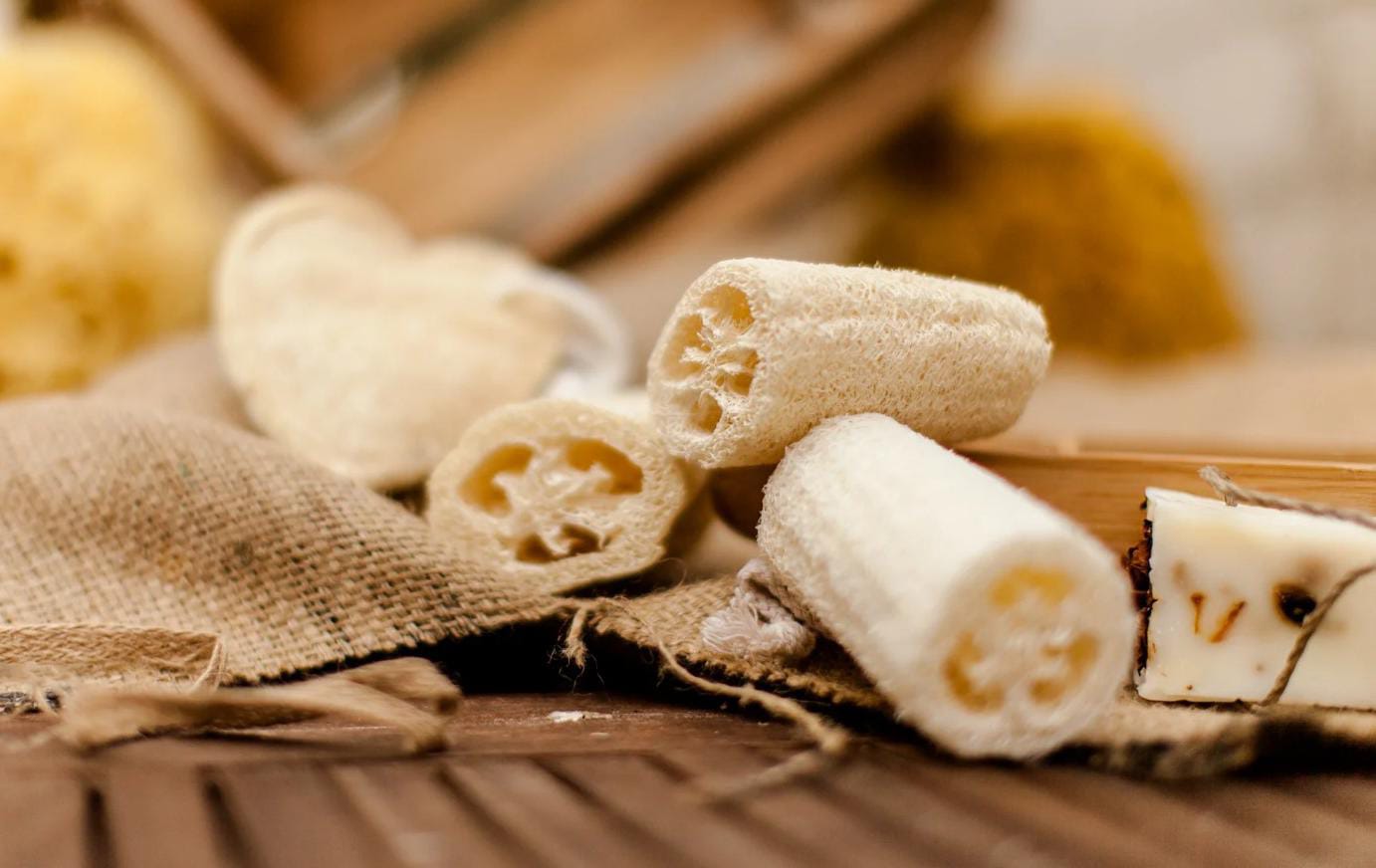Lif Peelingi (Loofah Scrub)