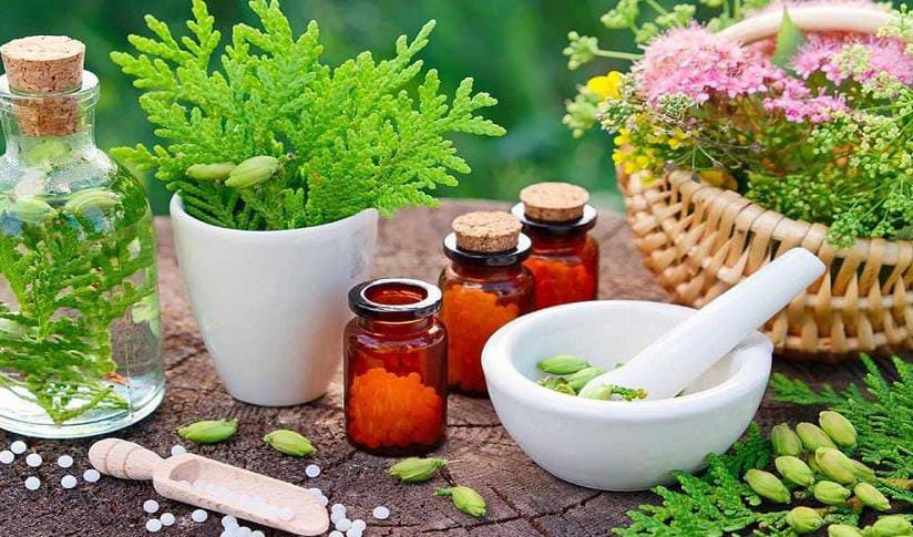 Naturopathy (Doğal Tıp)