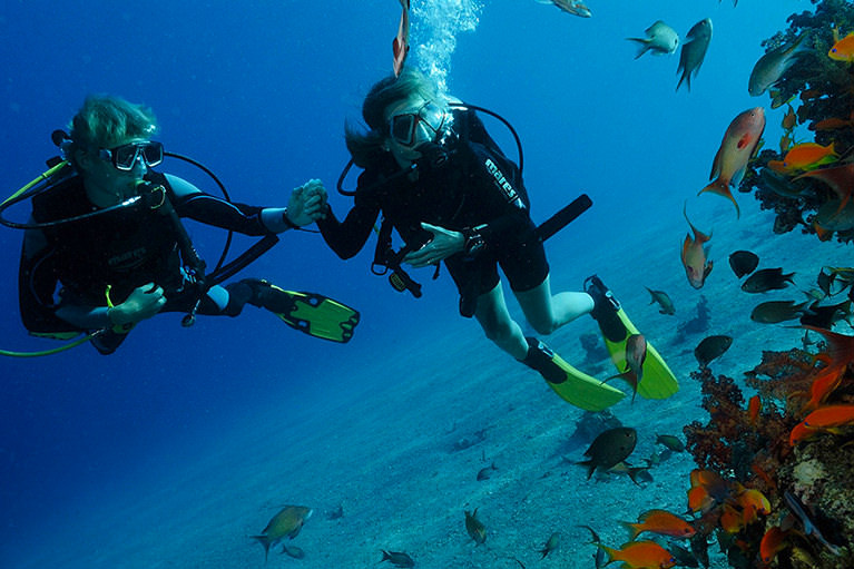 PADI