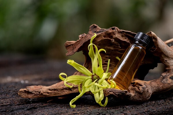 Ylang-Ylang