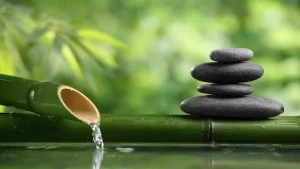Zen Felsefesi